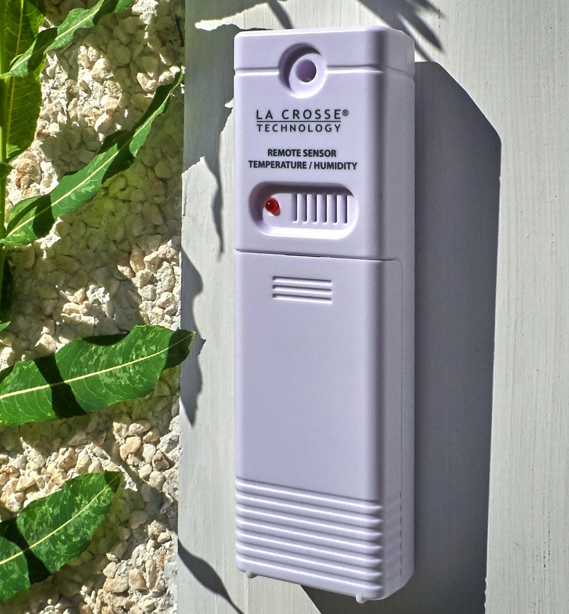 Lee Valley Wireless Color Forecast Station