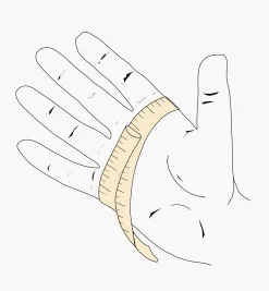 Lee Valley Women's Garden Gloves