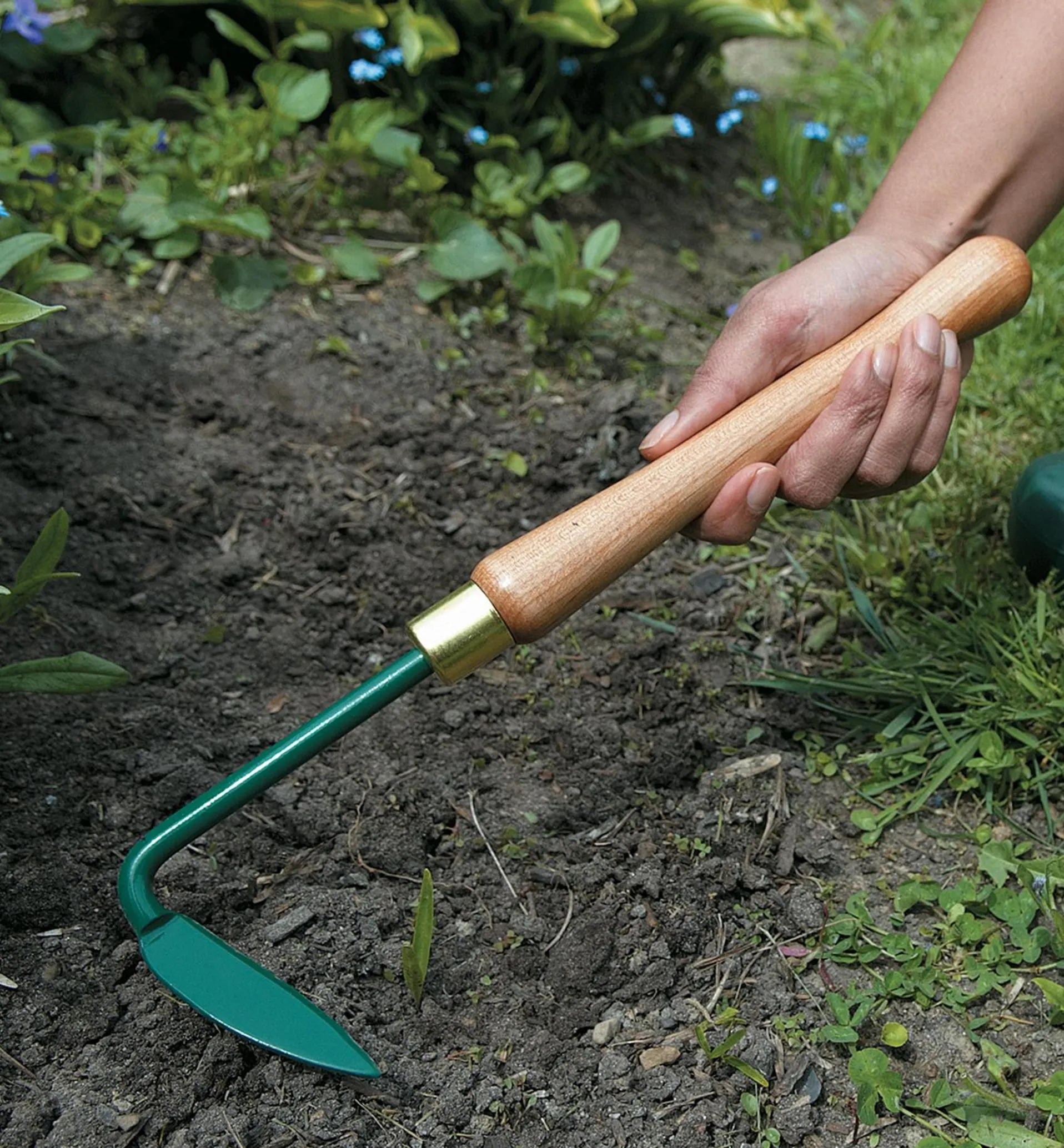 Lee Valley Yankee Weeder