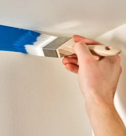 Lee Valley Zibra 2" Chiselled Wedge Brush